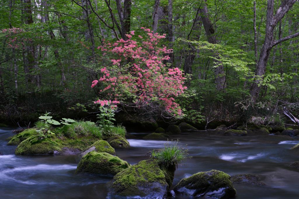 Oirase Guest House Keigetsu Towada Dış mekan fotoğraf