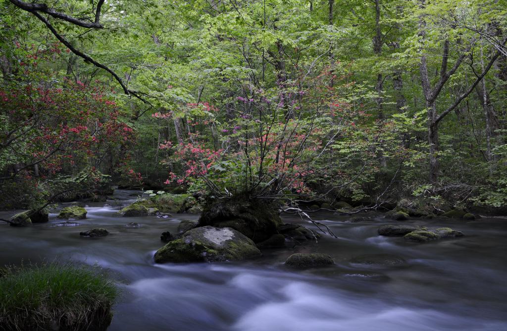Oirase Guest House Keigetsu Towada Dış mekan fotoğraf
